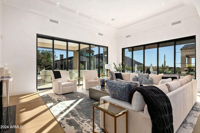 living room featuring light hardwood / wood-style floors and a high ceiling