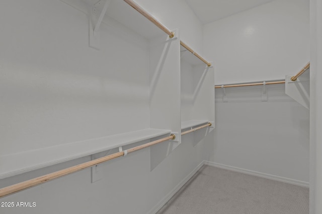 12311 W Parkway Ln, Avondale, AZ 85323 - walk in closet with carpet flooring