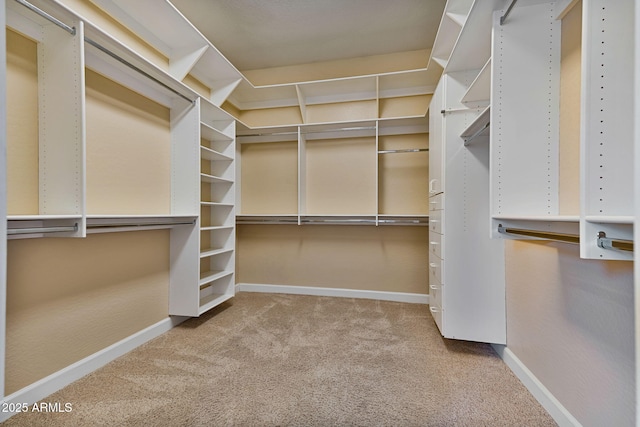 spacious closet with carpet floors