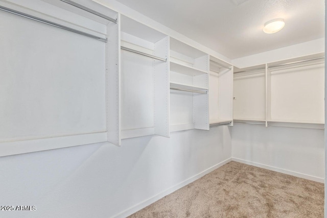 3641 E Park Ave, Phoenix, AZ 85044 - walk in closet with carpet