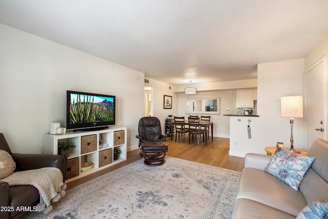 living room featuring light hardwood / wood-style flooring