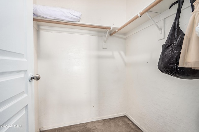 spacious closet featuring carpet flooring