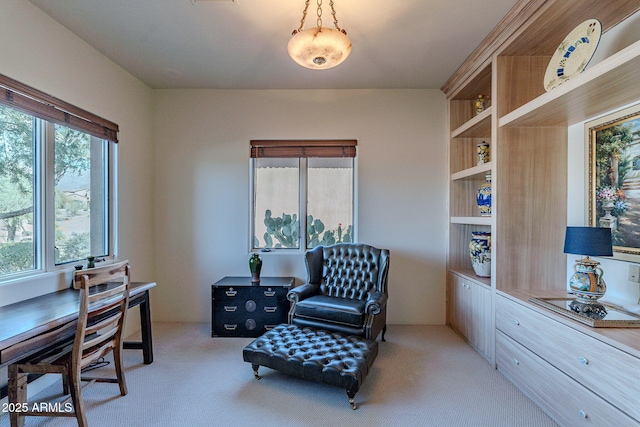 office space with light colored carpet