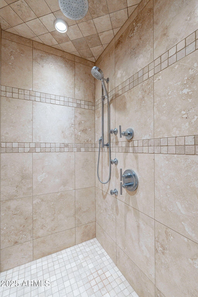 full bathroom with a tile shower