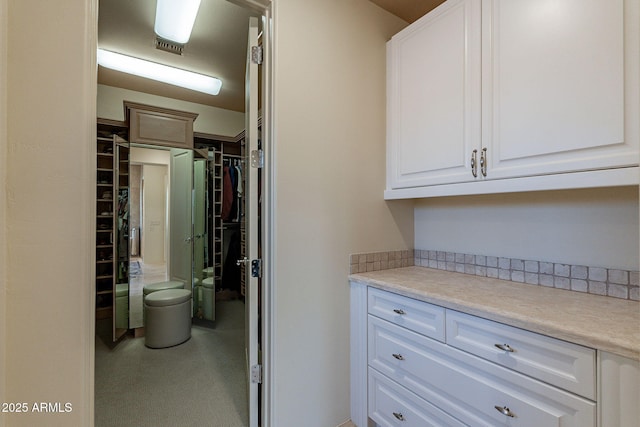 view of walk in closet