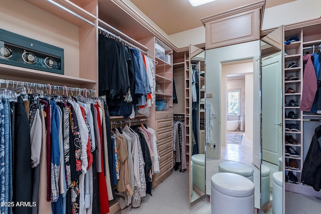 view of spacious closet