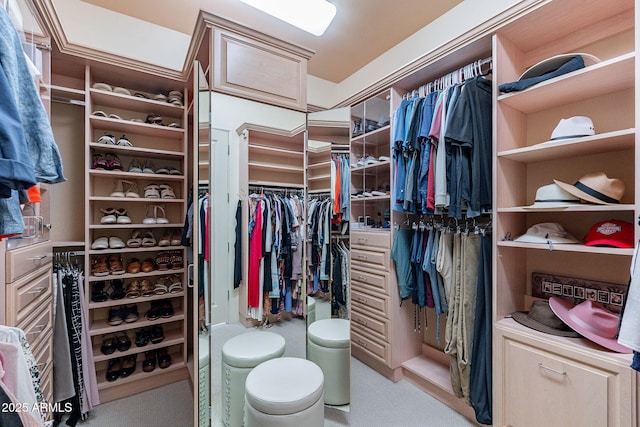 view of walk in closet