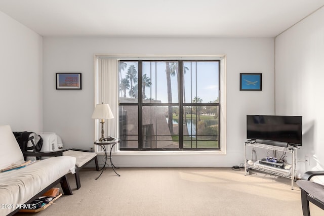 view of carpeted living room