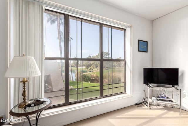 view of carpeted living room