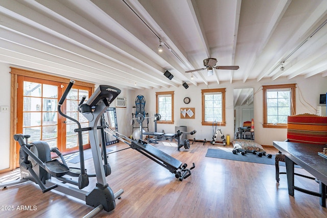 workout room featuring baseboards, plenty of natural light, a ceiling fan, and wood finished floors