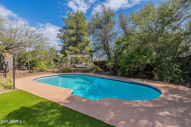 pool featuring a patio area and a pergola
