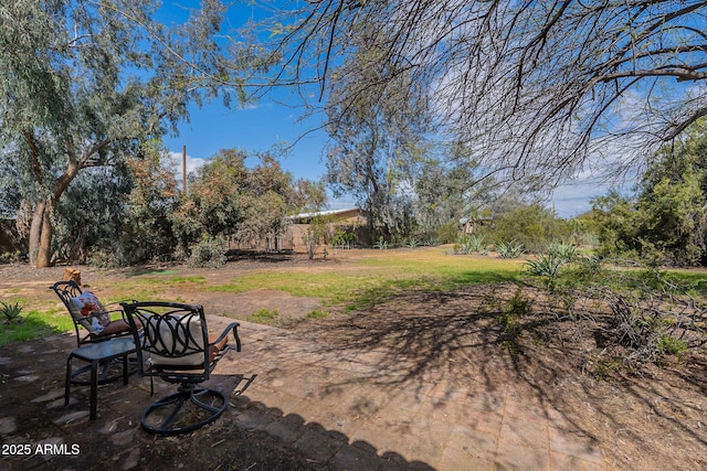 view of yard featuring a patio area