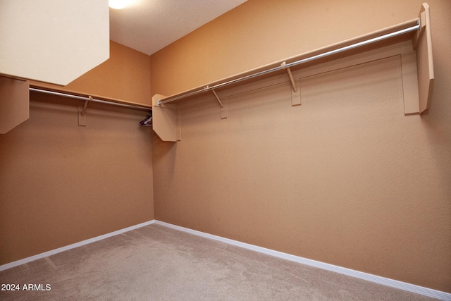 walk in closet with carpet flooring