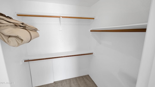 455 N Tegner St Unit 59, Wickenburg, AZ 85390 - walk in closet featuring carpet