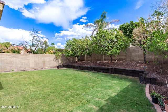 view of yard with a fenced backyard