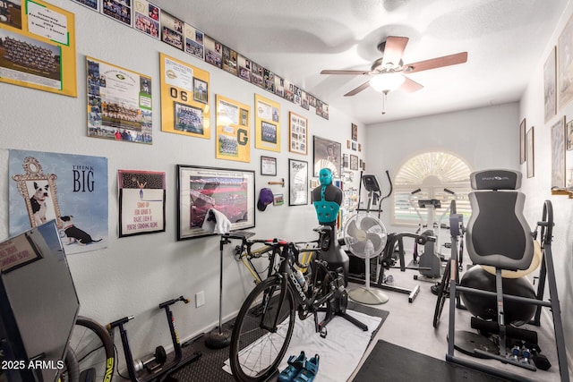 4648 W Misty Willow Ln, Glendale, AZ 85310 - workout room featuring ceiling fan