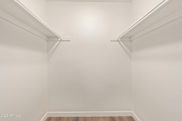 spacious closet with hardwood / wood-style floors