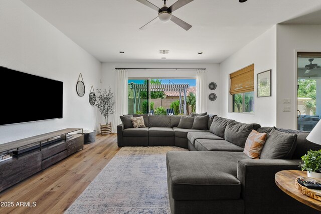 1500 E Sagittarius Pl, Chandler, AZ 85249 - living area featuring ceiling fan and light wood-type flooring