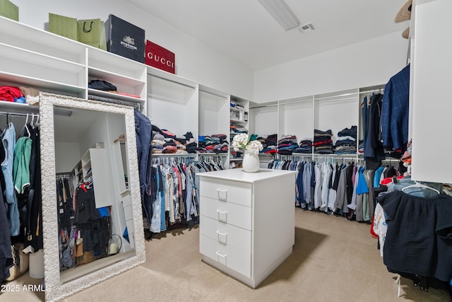 1500 E Sagittarius Pl, Chandler, AZ 85249 - spacious closet with light colored carpet