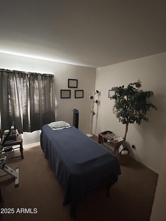 bedroom with carpet