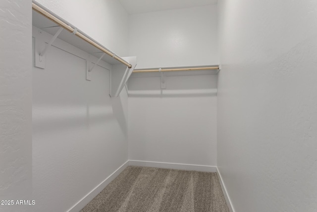 spacious closet with carpet
