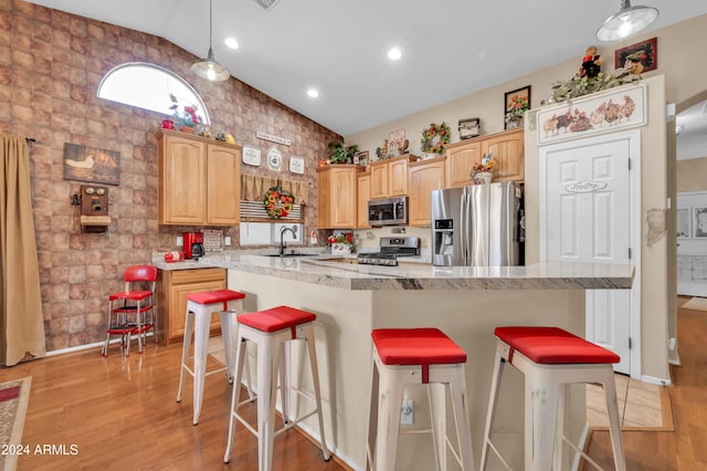 kitchen featuring stainless steel appliances, lofted ceiling, and light hardwood / wood-style floors