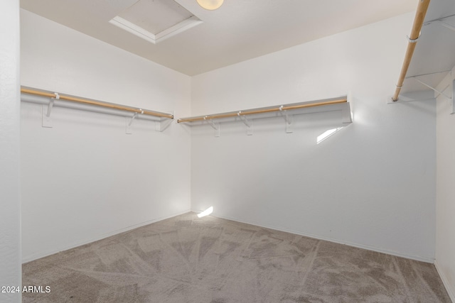 spacious closet with light colored carpet