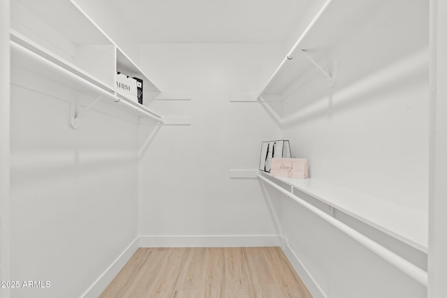 spacious closet with hardwood / wood-style floors