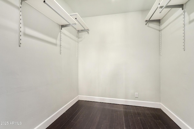spacious closet with dark wood finished floors