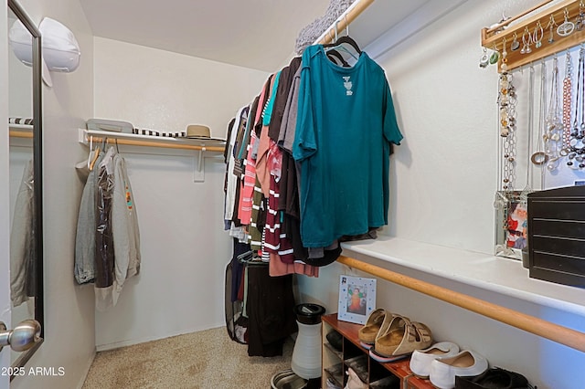 view of walk in closet