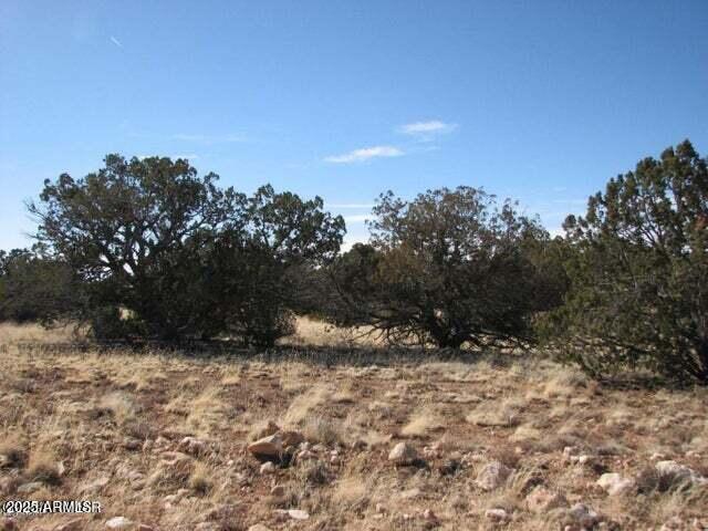 6251 Dry Pasture Run Unit 216, Heber, AZ 85928