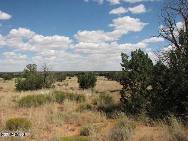 6251 Dry Pasture Run Unit 216, Heber, AZ 85928