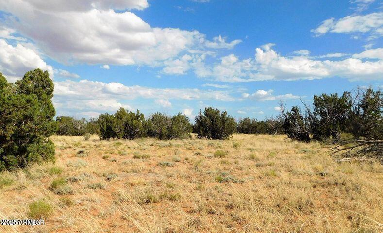 6251 Dry Pasture Run Unit 216, Heber, AZ 85928