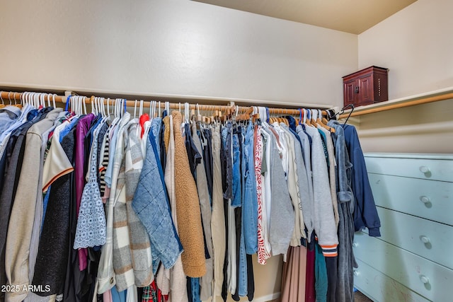 view of spacious closet