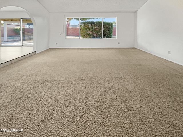 carpeted spare room with a textured ceiling