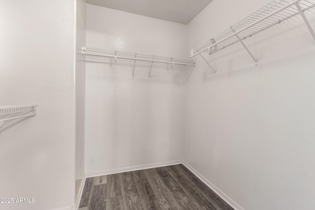 walk in closet featuring dark wood-type flooring