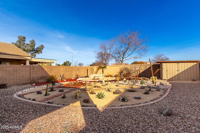 view of yard featuring a shed and a patio area