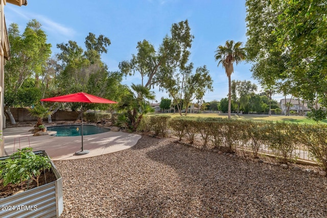 view of yard featuring a patio area