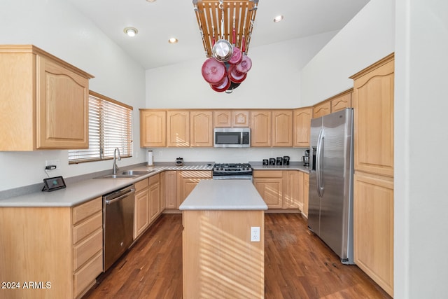 kitchen with dark hardwood / wood-style flooring, stainless steel appliances, sink, light brown cabinets, and a center island