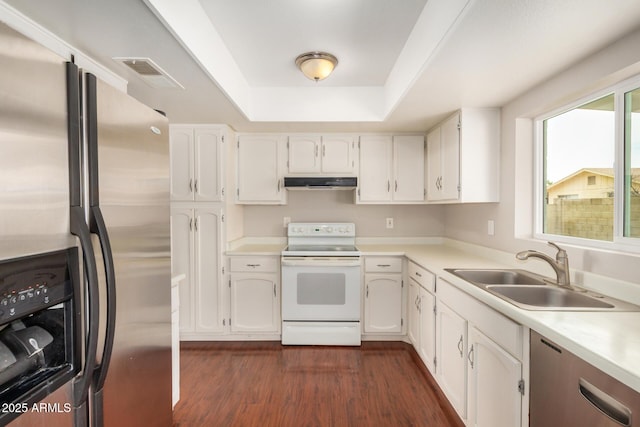 kitchen featuring appliances with stainless steel finishes, a sink, dark wood-style flooring, a tray ceiling, and white cabinets