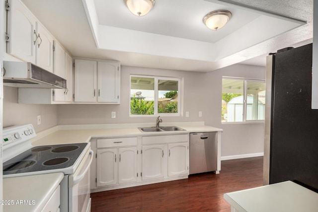 kitchen with stainless steel appliances, a sink, under cabinet range hood, dark wood-style flooring, and a raised ceiling