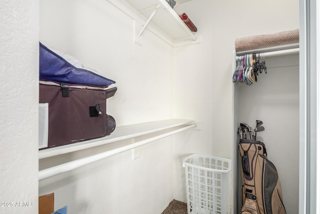 2228 N 52nd St Unit 140, Phoenix, AZ 85008 - view of spacious closet