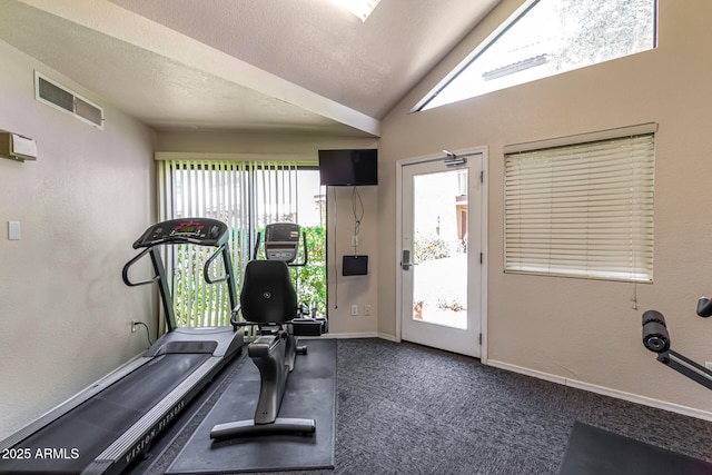 2228 N 52nd St Unit 140, Phoenix, AZ 85008 - exercise room featuring carpet floors, a textured ceiling, and lofted ceiling