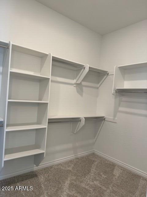 spacious closet with carpet floors