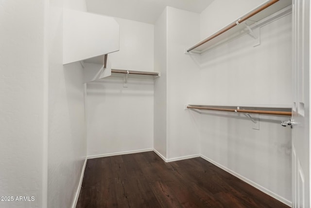 spacious closet featuring dark wood finished floors