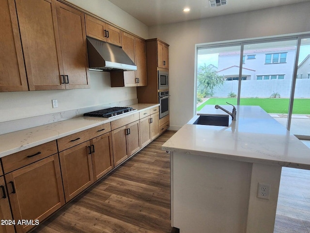 kitchen featuring sink, dark wood-type flooring, stainless steel appliances, and a center island with sink