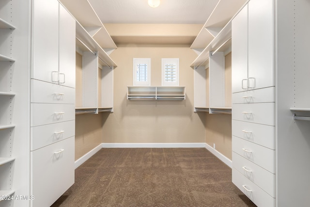 spacious closet featuring dark colored carpet