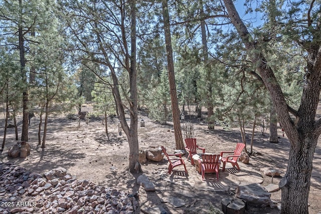 view of yard featuring a patio area