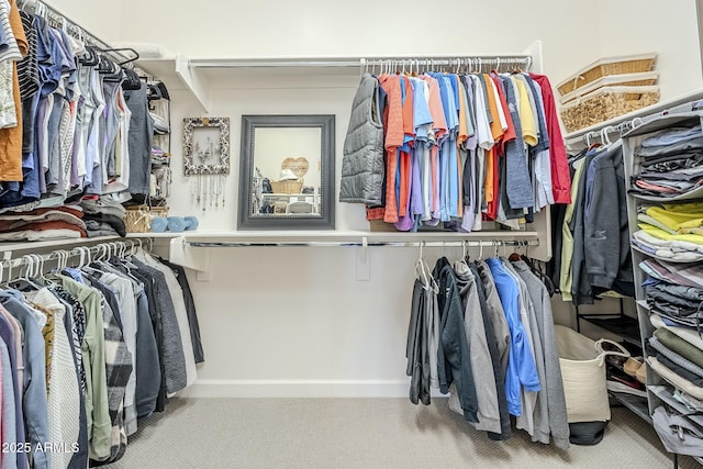 walk in closet featuring carpet flooring