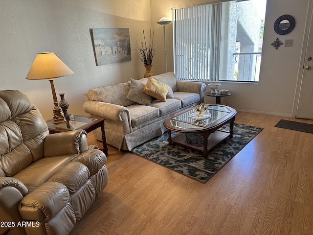 living room with wood-type flooring